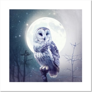 Owl Nature Outdoor Imagine Wild Free Posters and Art